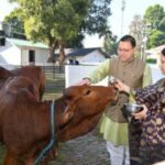 सीएम धामी ने की गौ माता की पूजा